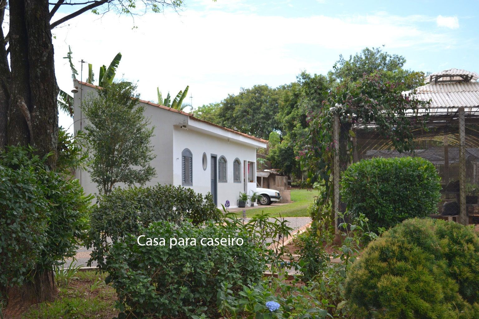 Sítio, 4 quartos, 6000 m² - Foto 16