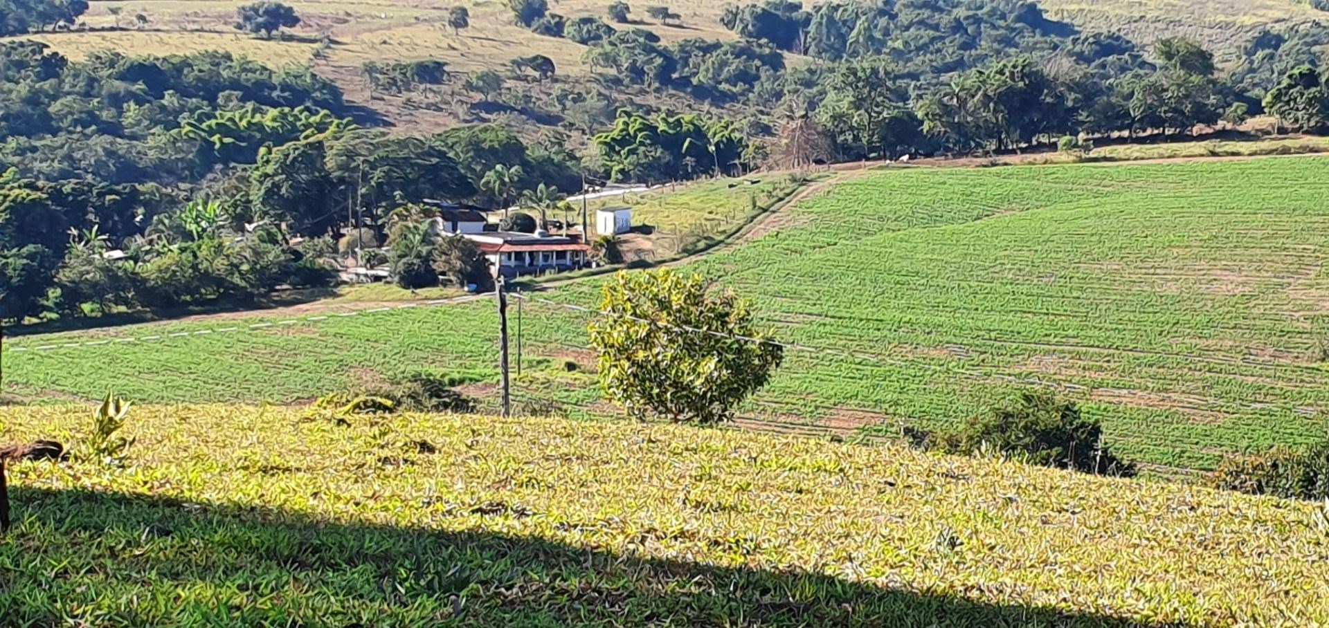Fazenda, 28 hectares - Foto 76