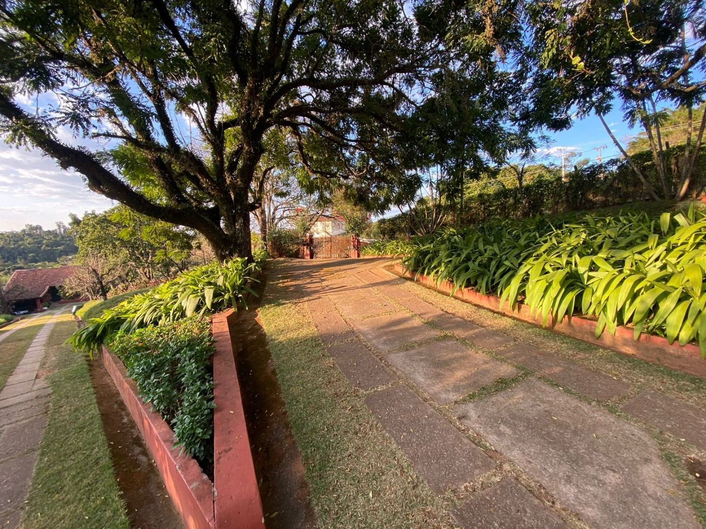 Sítio, 6 quartos, 2 hectares - Foto 65