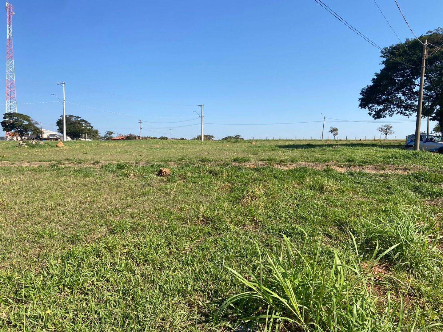Terreno, 2 hectares - Foto 4