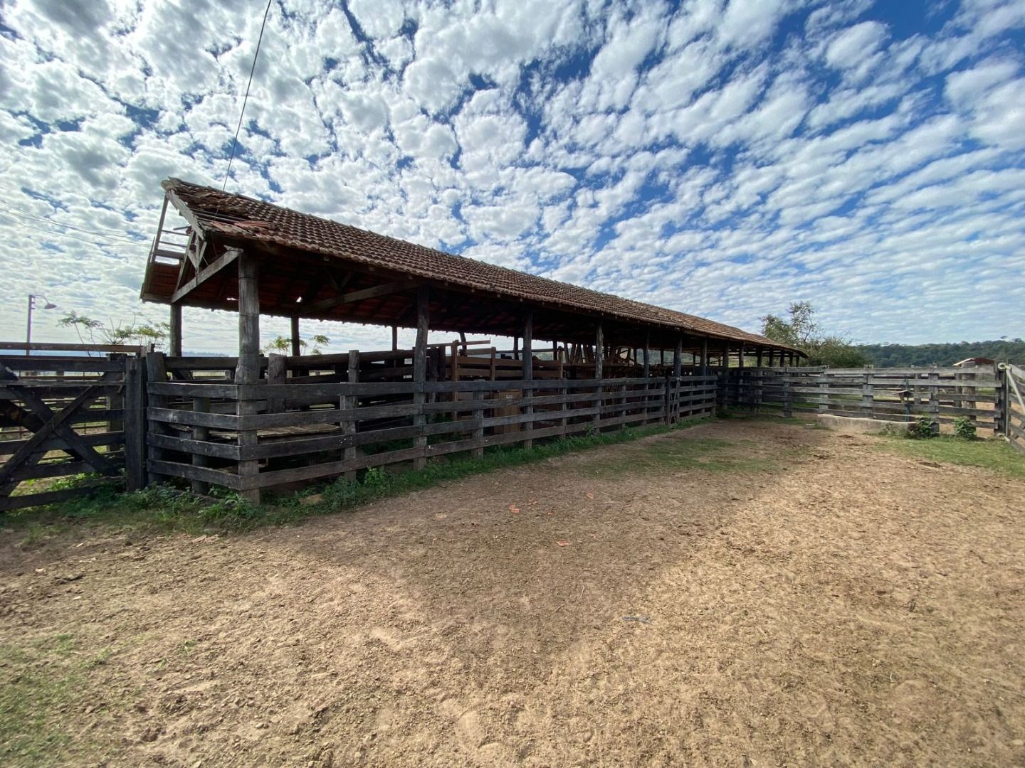 Fazenda, 404 hectares - Foto 19