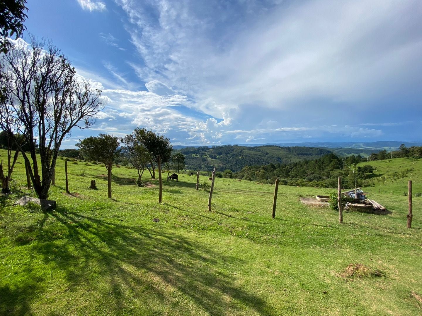 Fazenda, 3 hectares - Foto 9