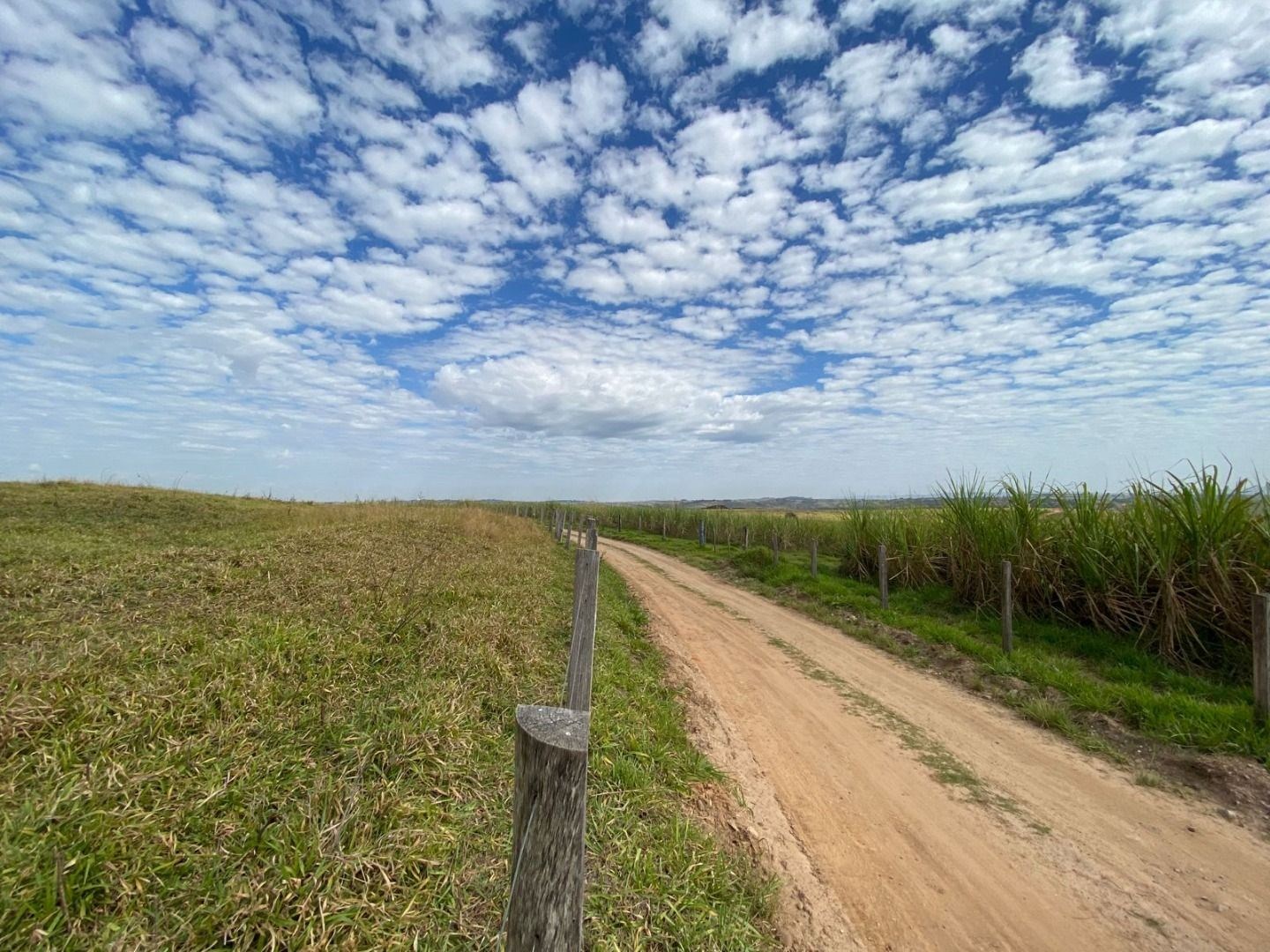 Fazenda, 404 hectares - Foto 25