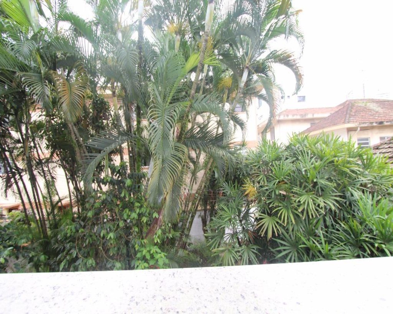 Casa, 3 quartos, 126 m² - Foto 19