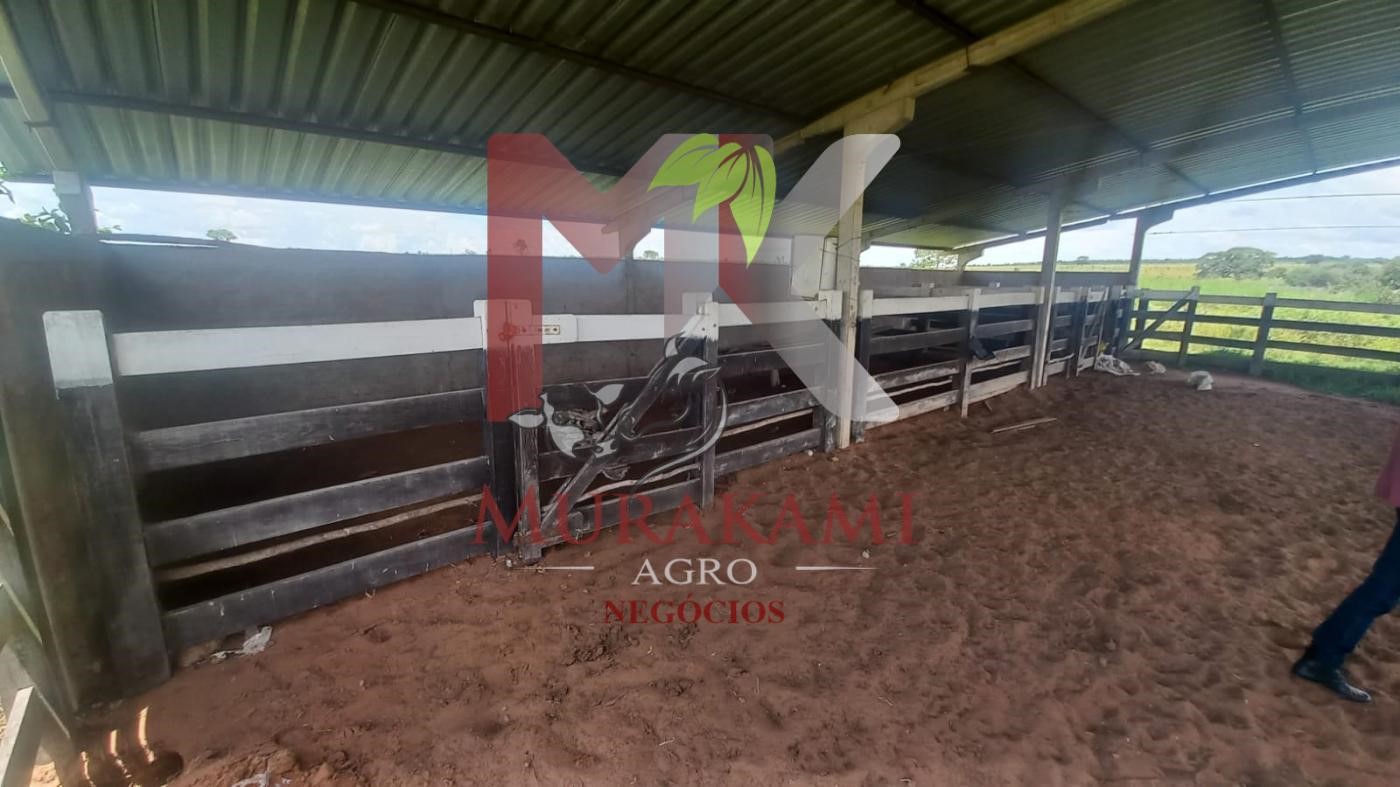 Fazenda à venda, 880m² - Foto 28