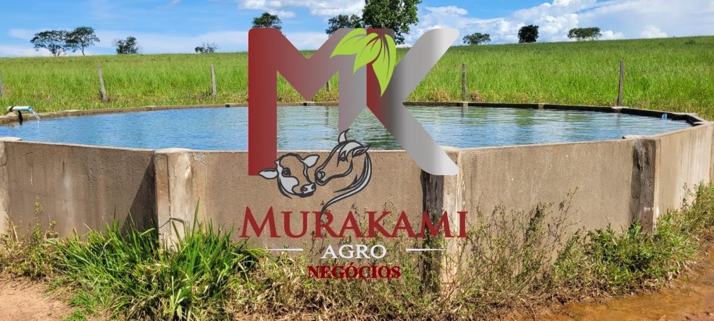 Fazenda à venda com 5 quartos, 1490m² - Foto 10