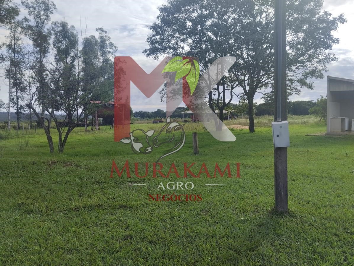Fazenda à venda com 2 quartos, 1815m² - Foto 8