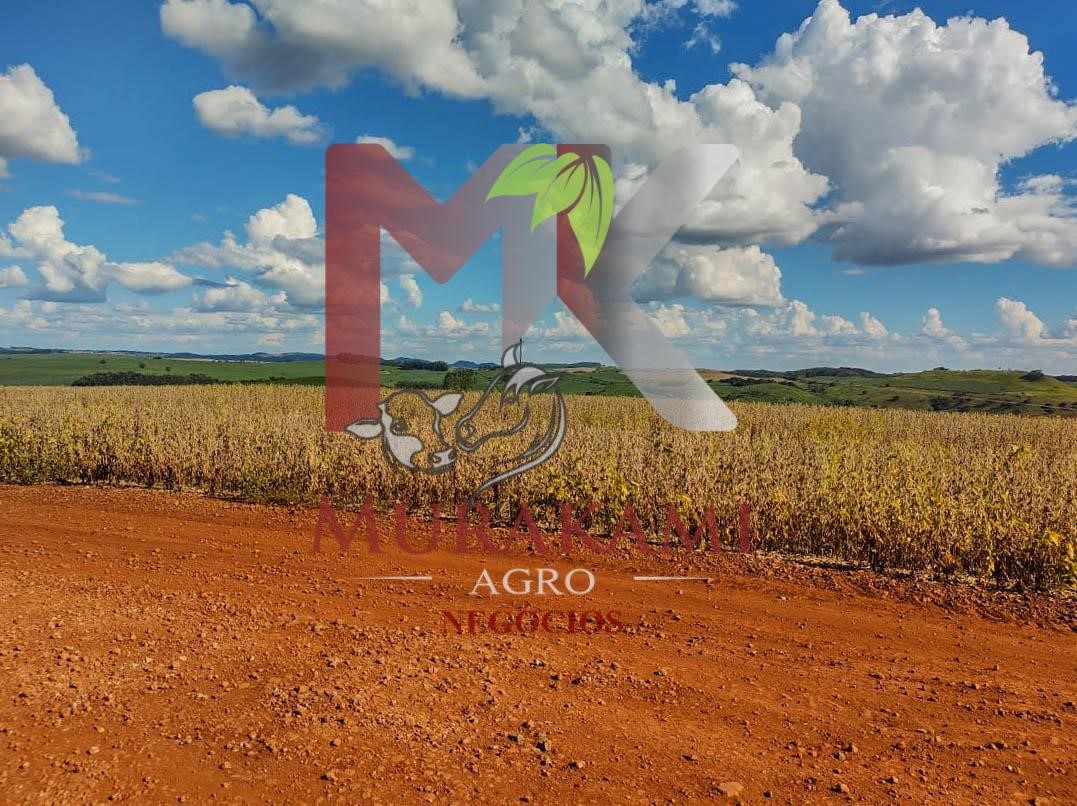 Fazenda à venda com 1 quarto, 100m² - Foto 15
