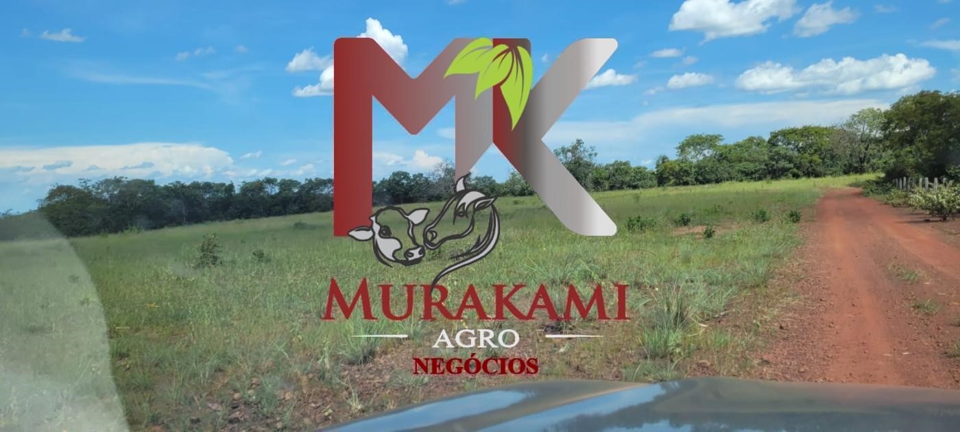 Fazenda à venda com 5 quartos, 1490m² - Foto 12