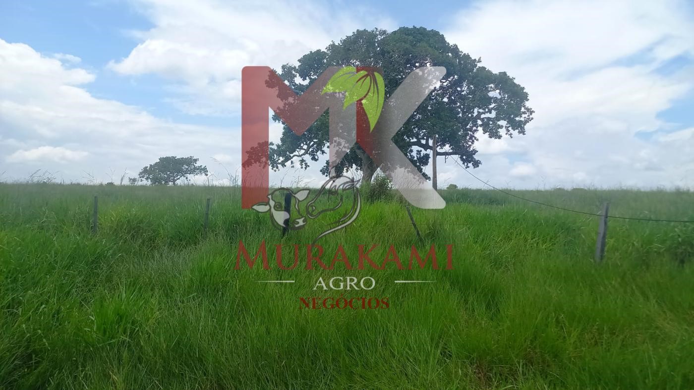 Fazenda à venda, 880m² - Foto 13