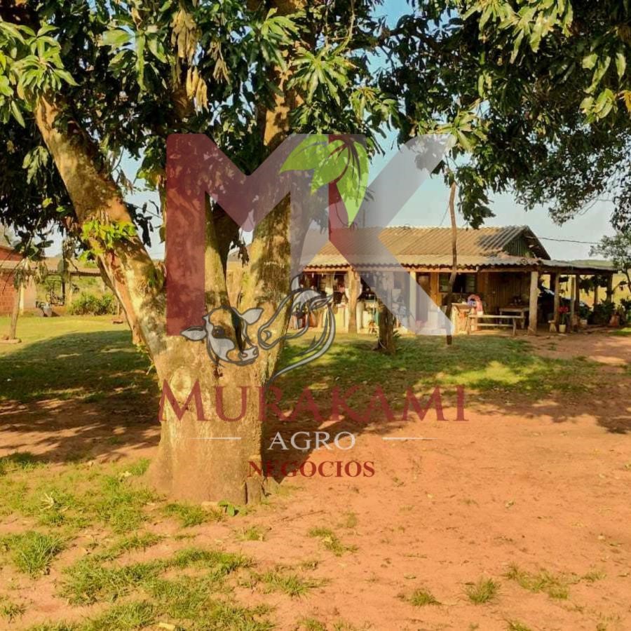 Fazenda à venda, 100m² - Foto 10