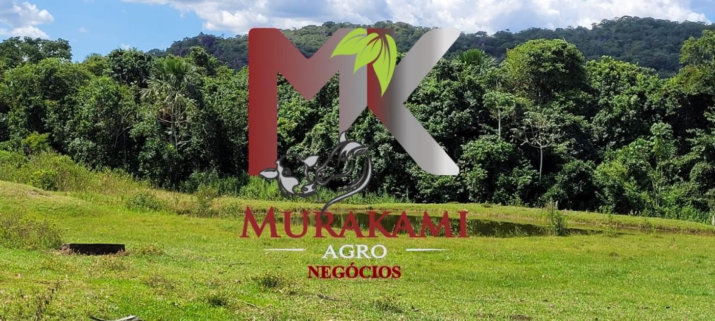 Fazenda à venda com 5 quartos, 1490m² - Foto 18