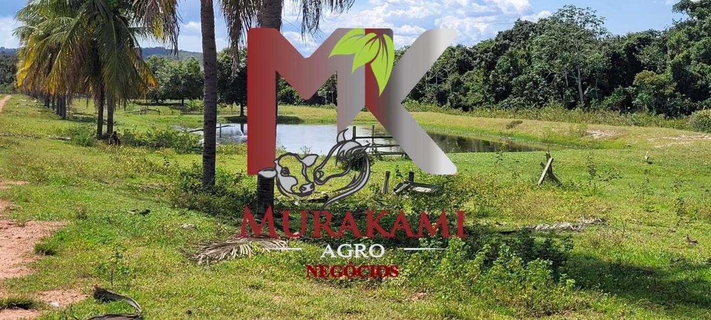 Fazenda à venda com 5 quartos, 1490m² - Foto 19