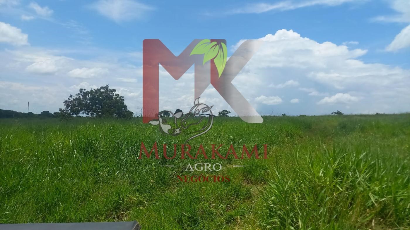 Fazenda à venda, 880m² - Foto 10