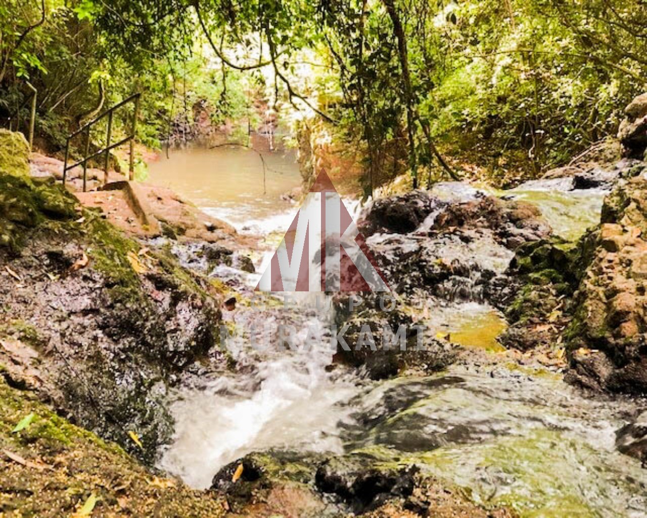 Casa de Condomínio à venda com 4 quartos, 1000m² - Foto 26