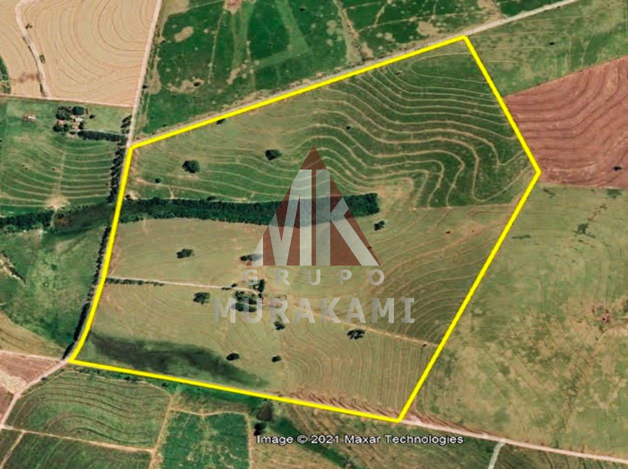 Fazenda à venda com 6 quartos, 971m² - Foto 7