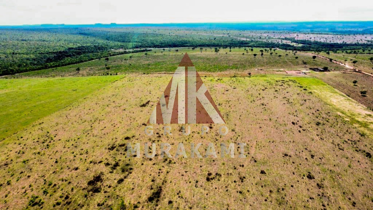 Fazenda-Sítio-Chácara, 8703 m² - Foto 2