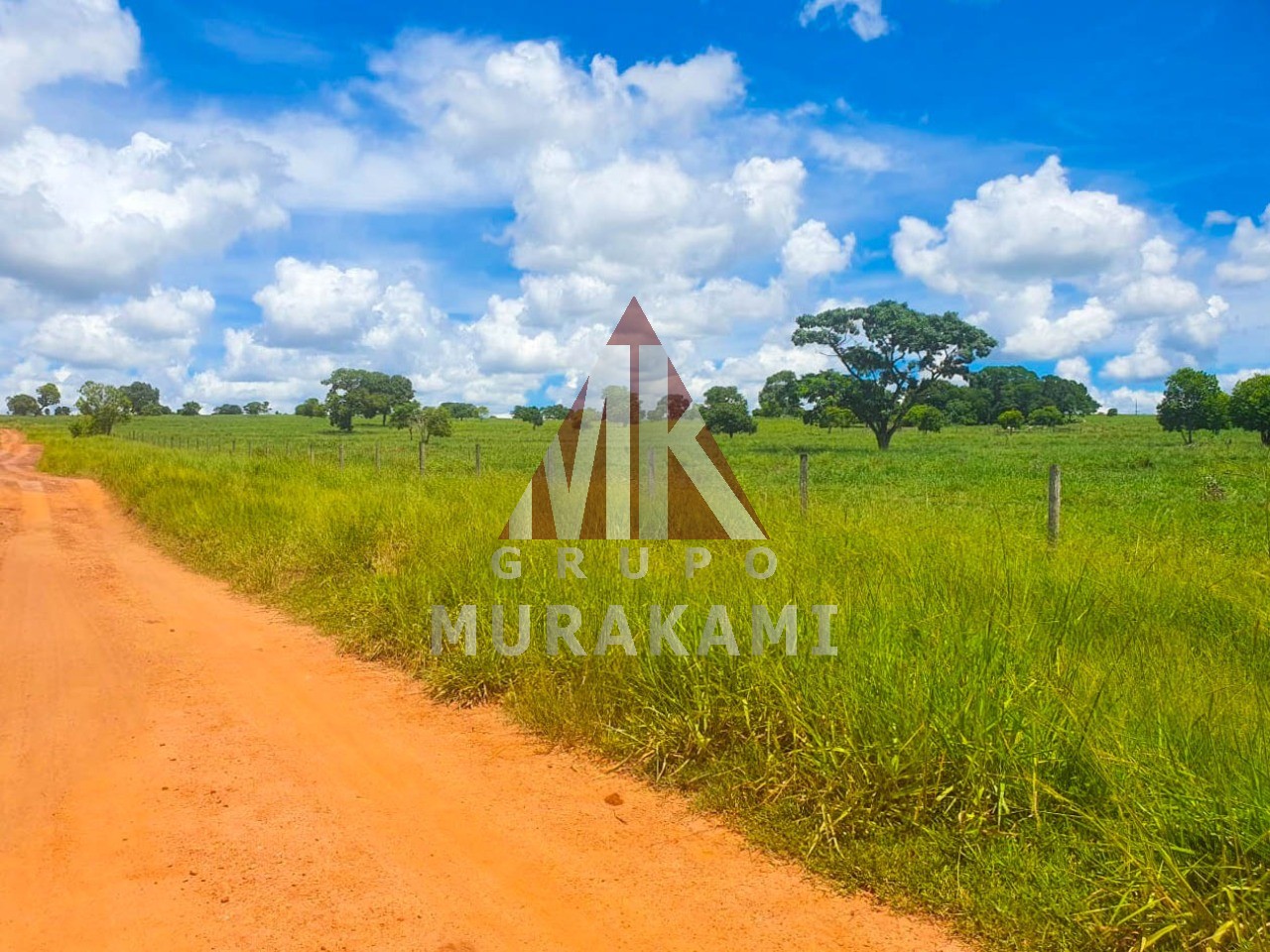 Fazenda-Sítio-Chácara, 2531 m² - Foto 7