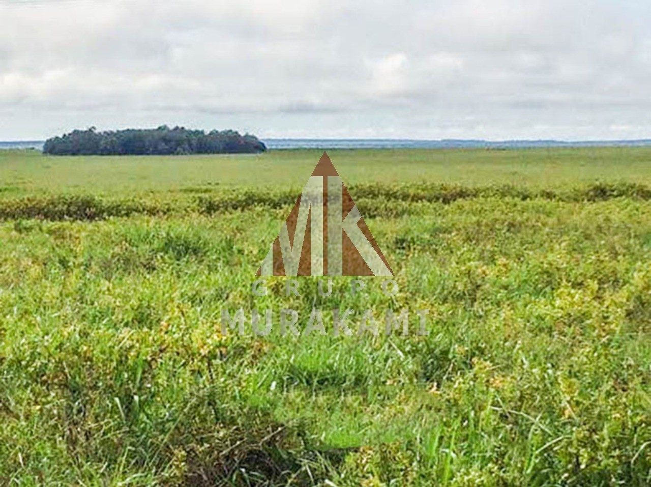 Fazenda à venda com 1 quarto, 10830m² - Foto 3