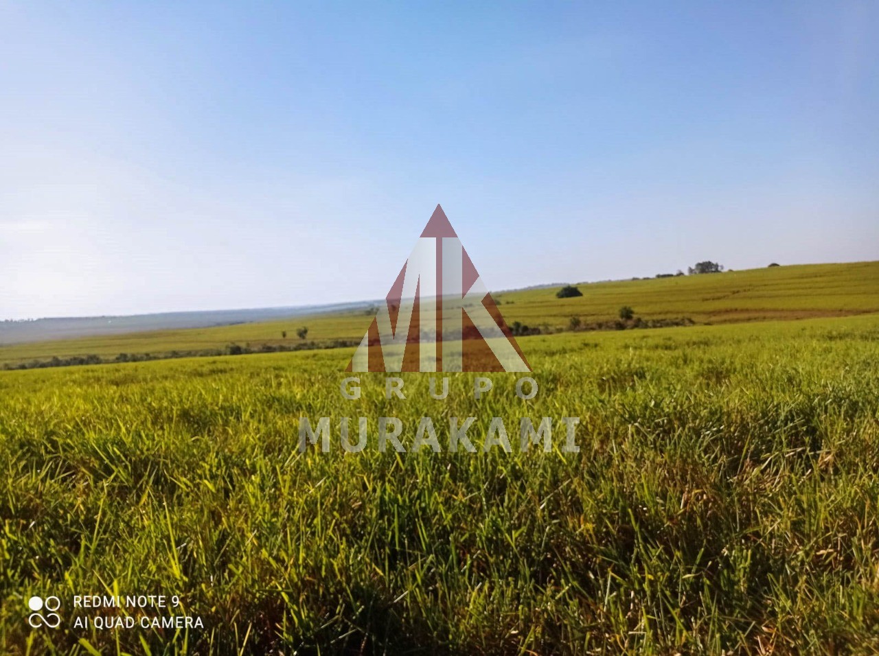 Fazenda-Sítio-Chácara, 250 m² - Foto 2