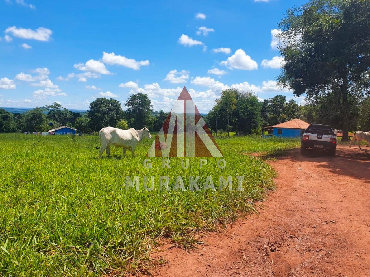 Fazenda-Sítio-Chácara, 2531 m² - Foto 6