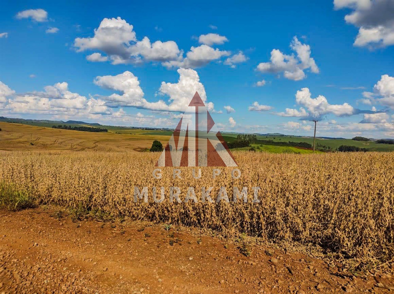 Fazenda-Sítio-Chácara, 100 m² - Foto 3