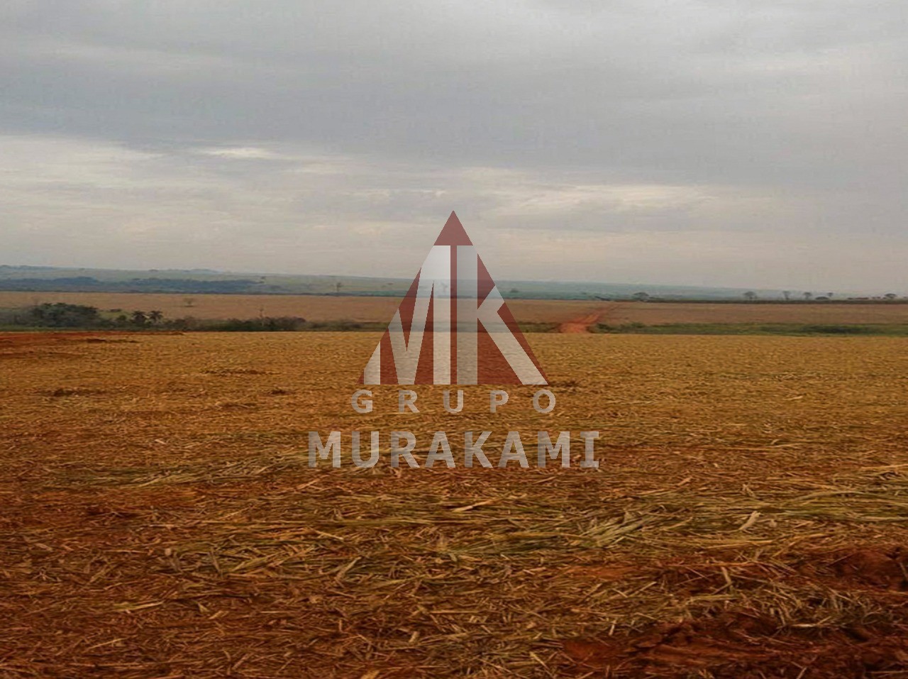 Fazenda-Sítio-Chácara, 1275 m² - Foto 7