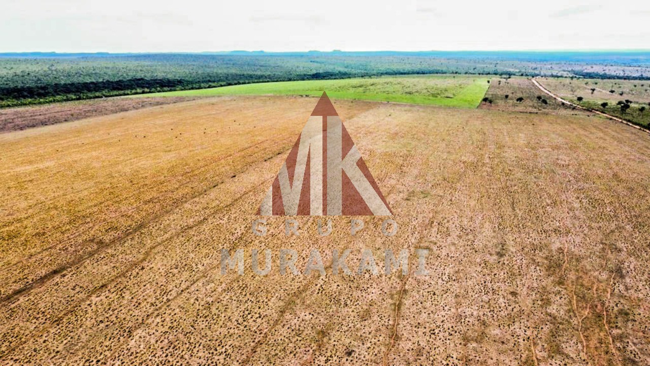 Fazenda-Sítio-Chácara, 8703 m² - Foto 14