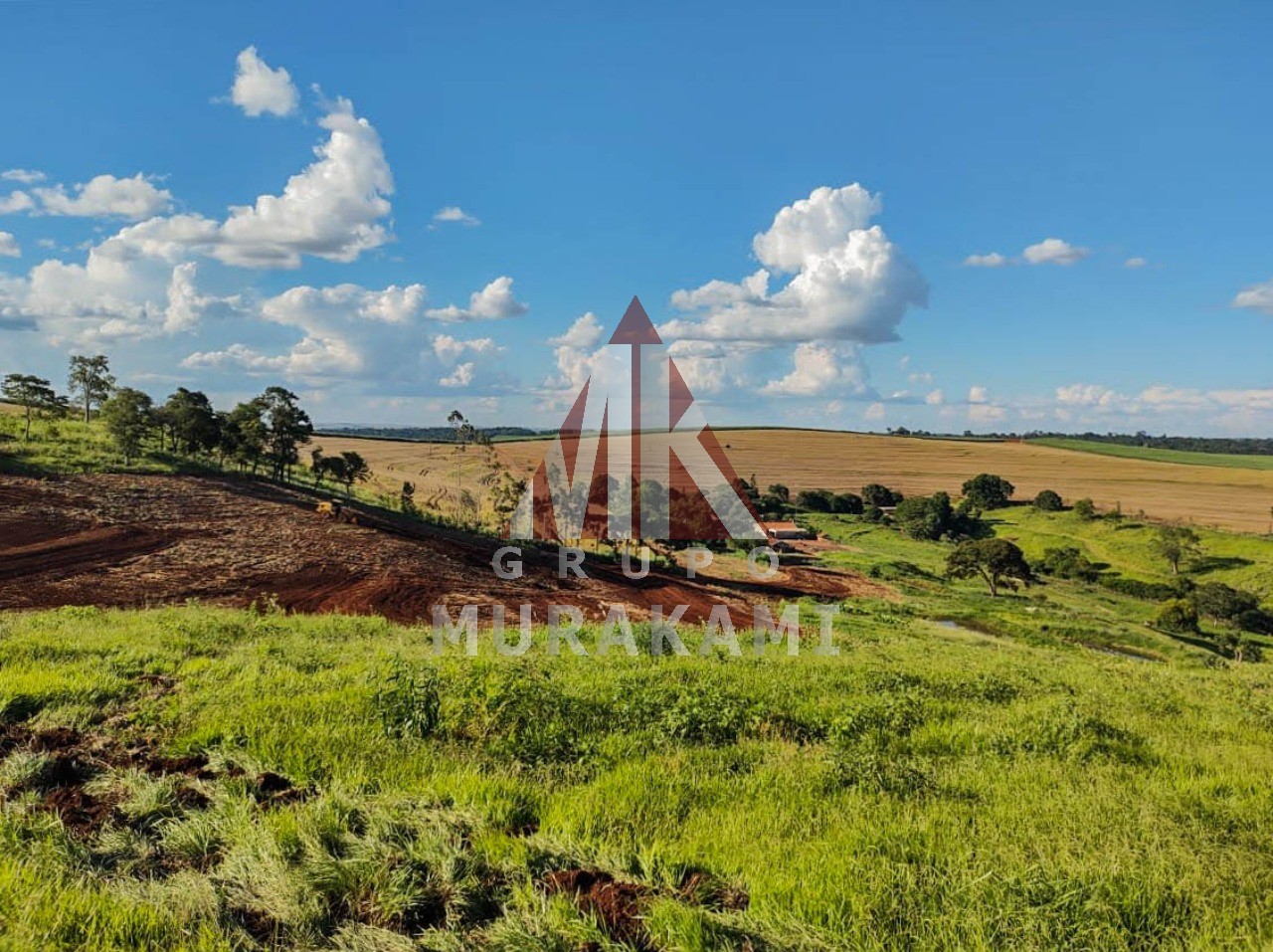 Fazenda-Sítio-Chácara, 100 m² - Foto 4