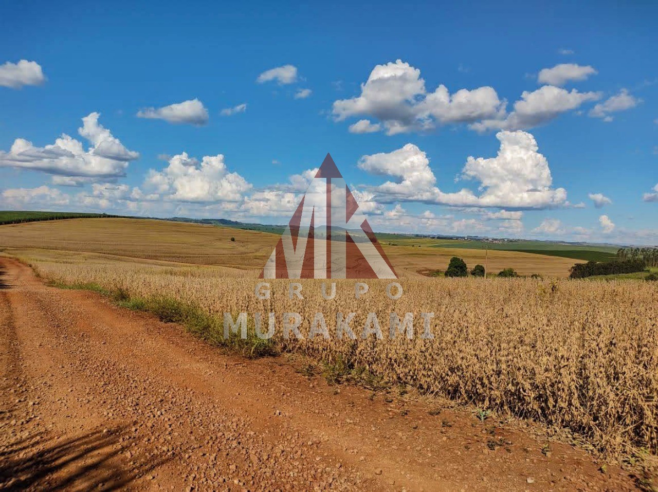 Fazenda-Sítio-Chácara, 100 m² - Foto 1