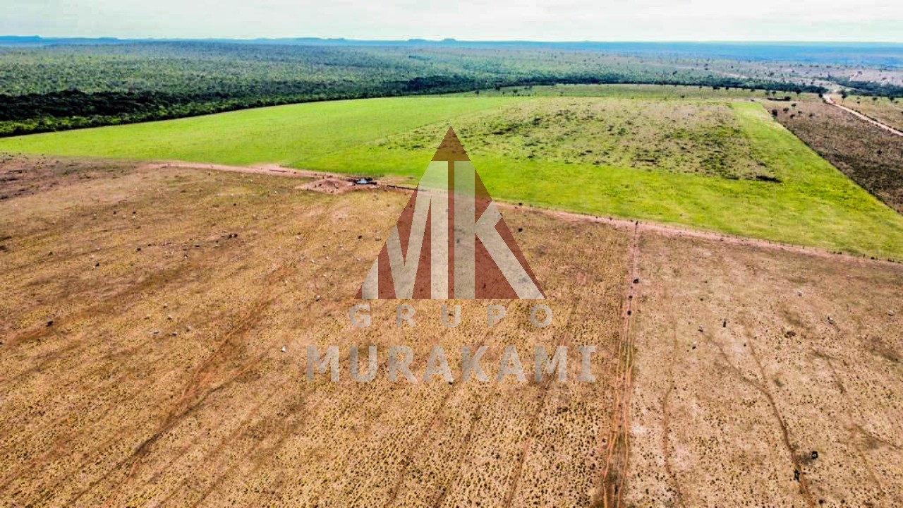 Fazenda-Sítio-Chácara, 8703 m² - Foto 10