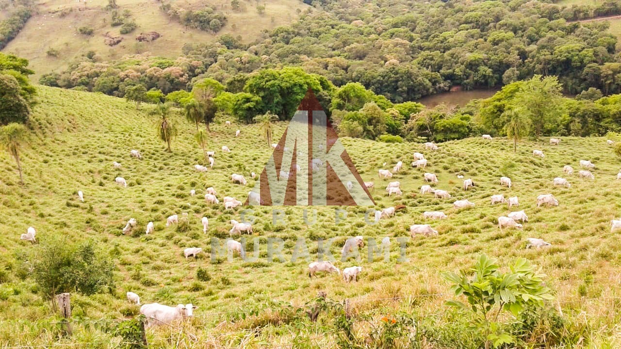 Fazenda-Sítio-Chácara, 155 m² - Foto 2