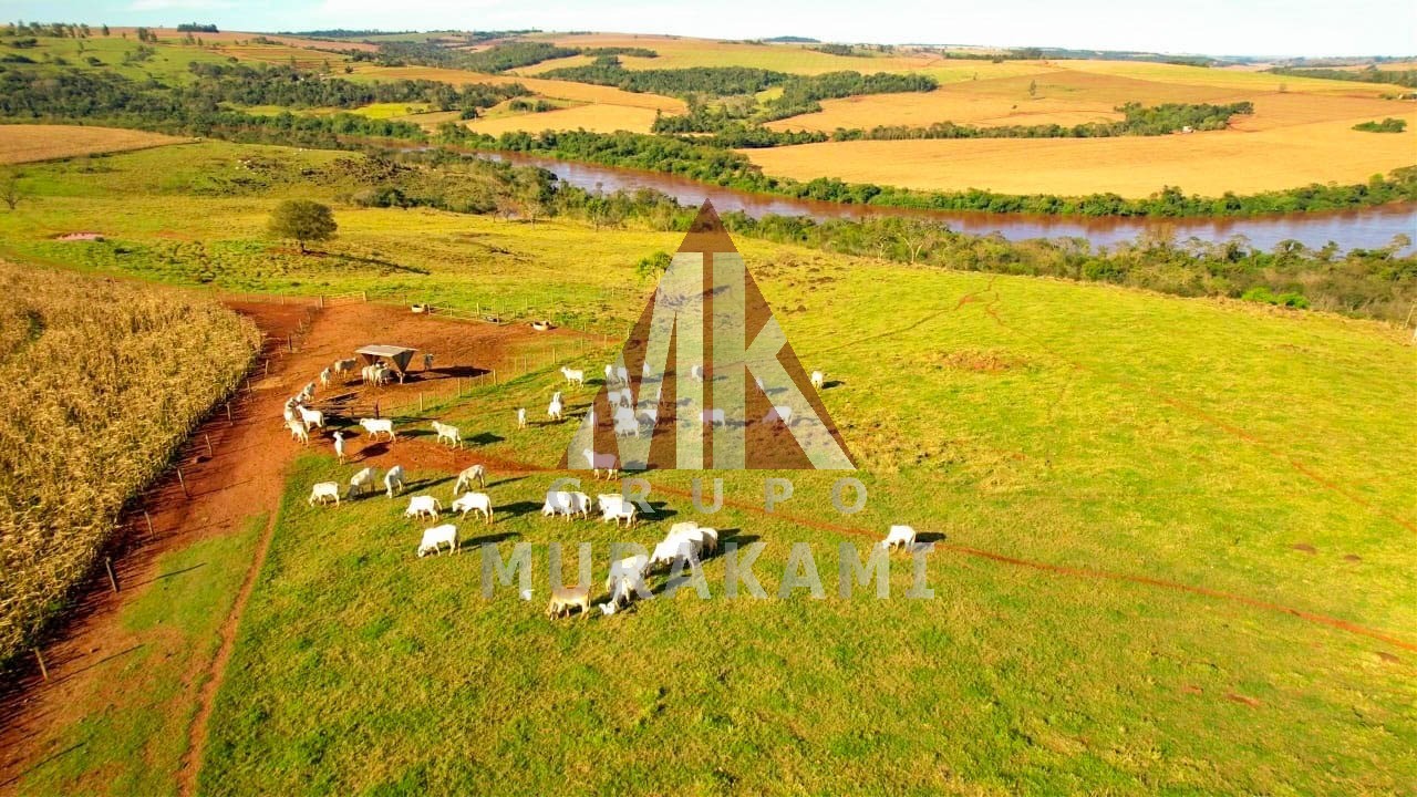 Fazenda-Sítio-Chácara, 55 m² - Foto 1