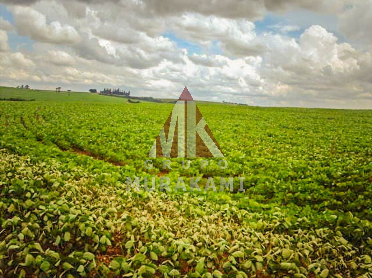 Fazenda-Sítio-Chácara, 400 m² - Foto 3