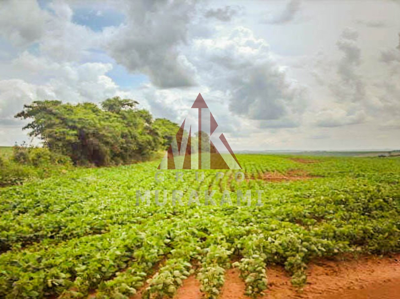 Fazenda-Sítio-Chácara, 400 m² - Foto 2