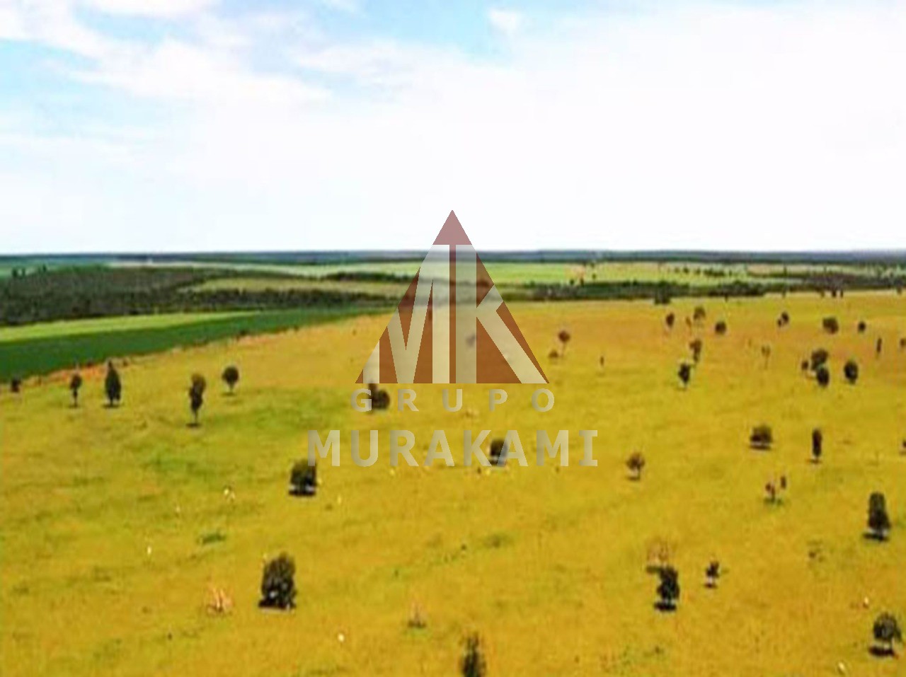Fazenda à venda com 1 quarto, 10830m² - Foto 8