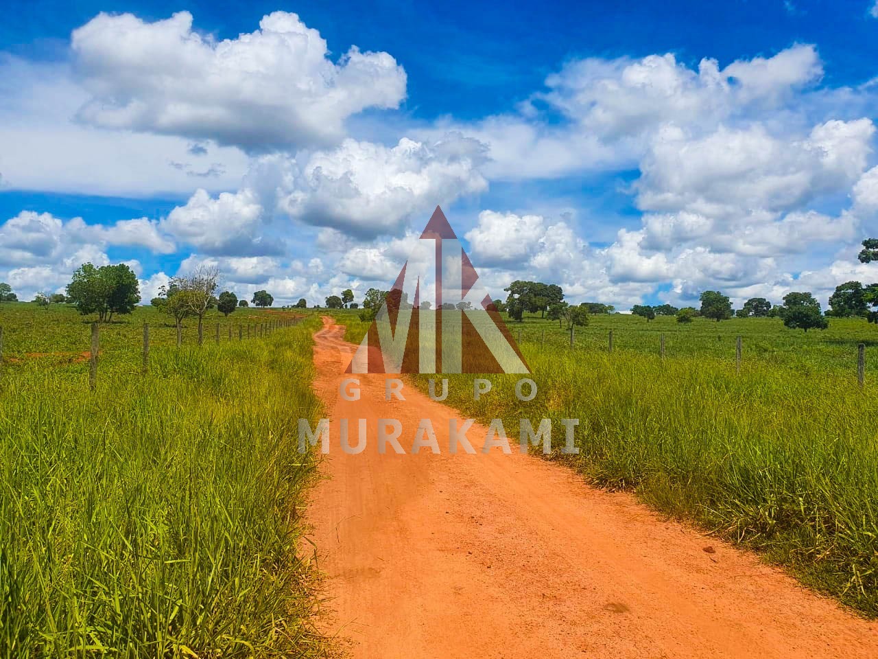 Fazenda-Sítio-Chácara, 2531 m² - Foto 9