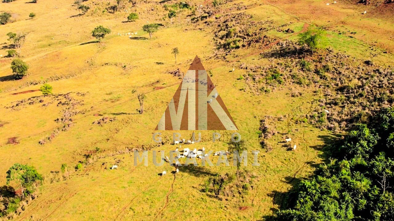 Fazenda-Sítio-Chácara, 55 m² - Foto 4