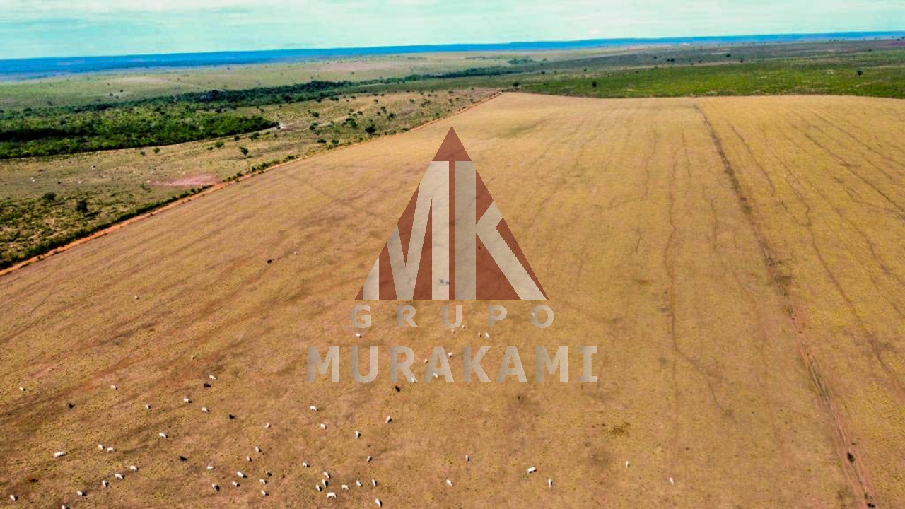 Fazenda-Sítio-Chácara, 8703 m² - Foto 4