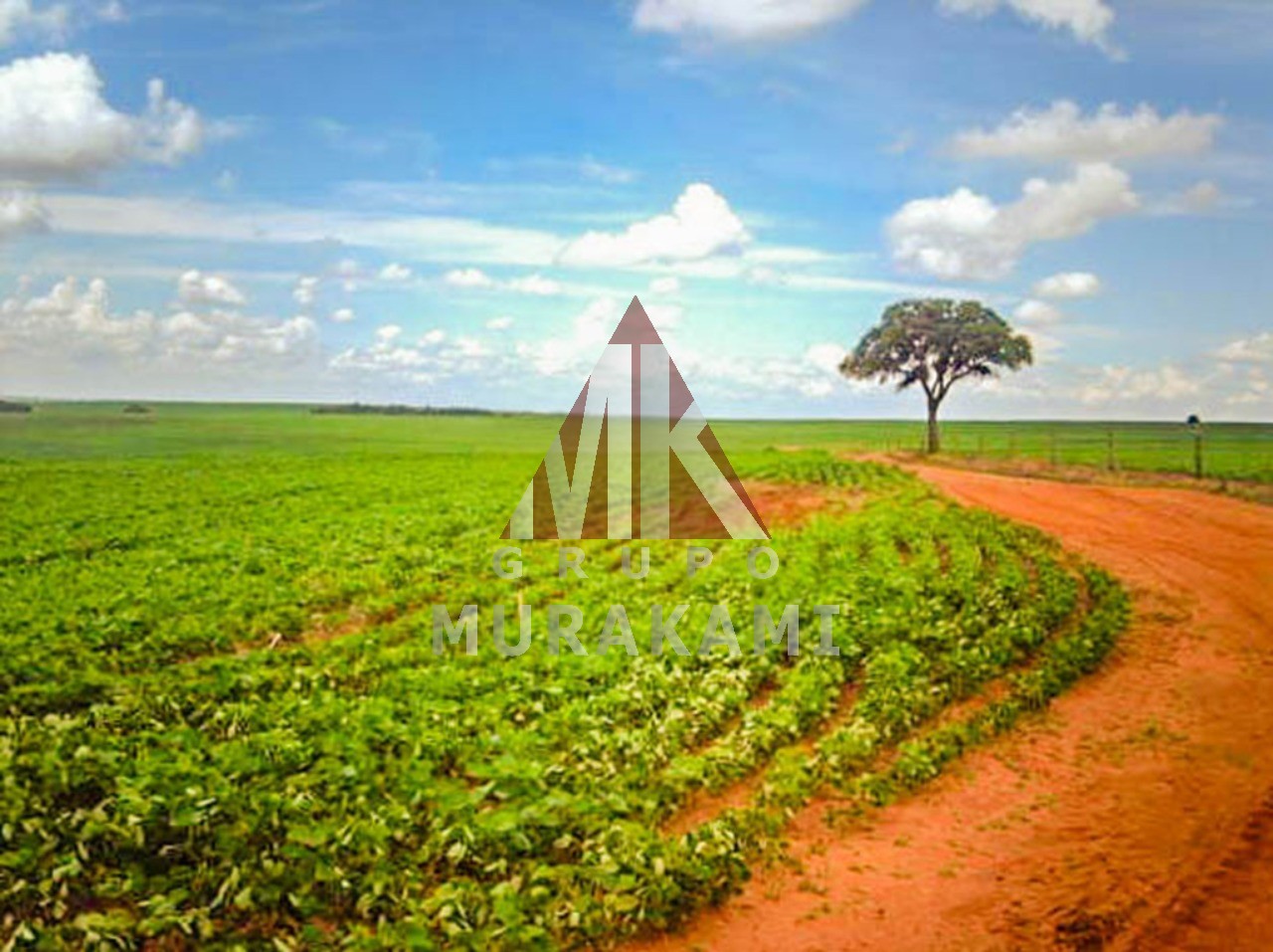 Fazenda-Sítio-Chácara, 400 m² - Foto 5