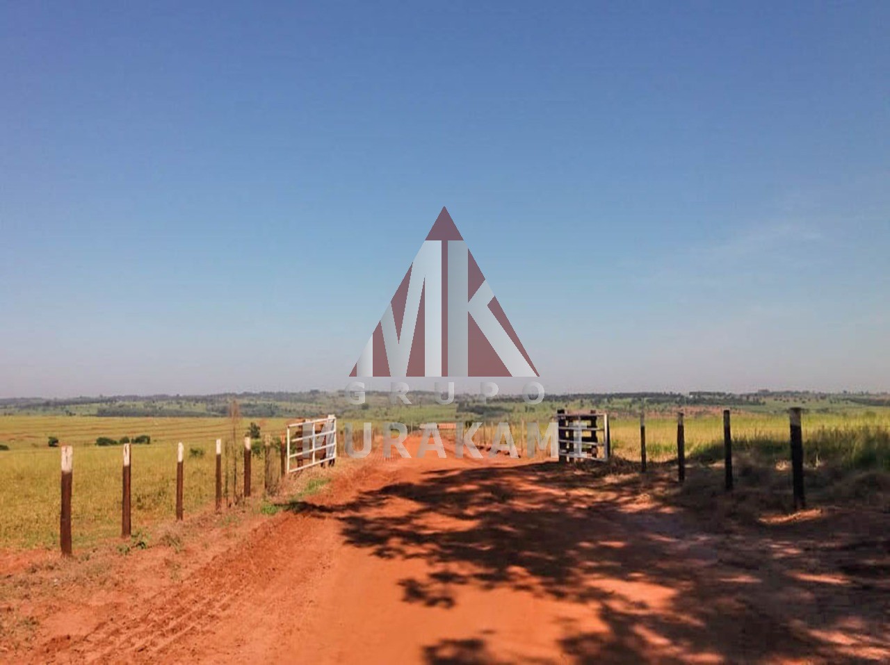 Fazenda-Sítio-Chácara, 2000 m² - Foto 2