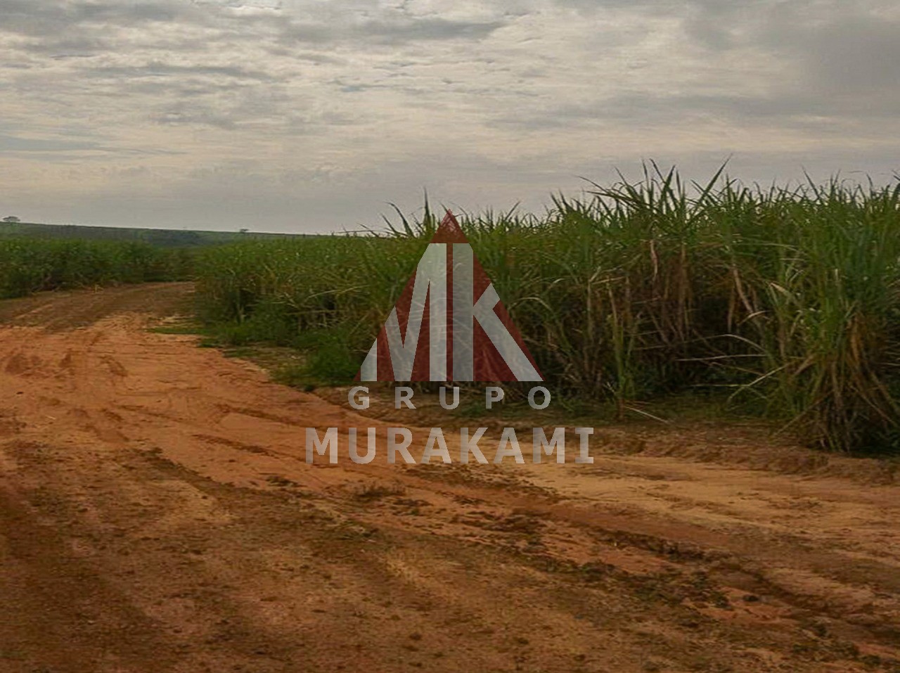 Fazenda-Sítio-Chácara, 1275 m² - Foto 5