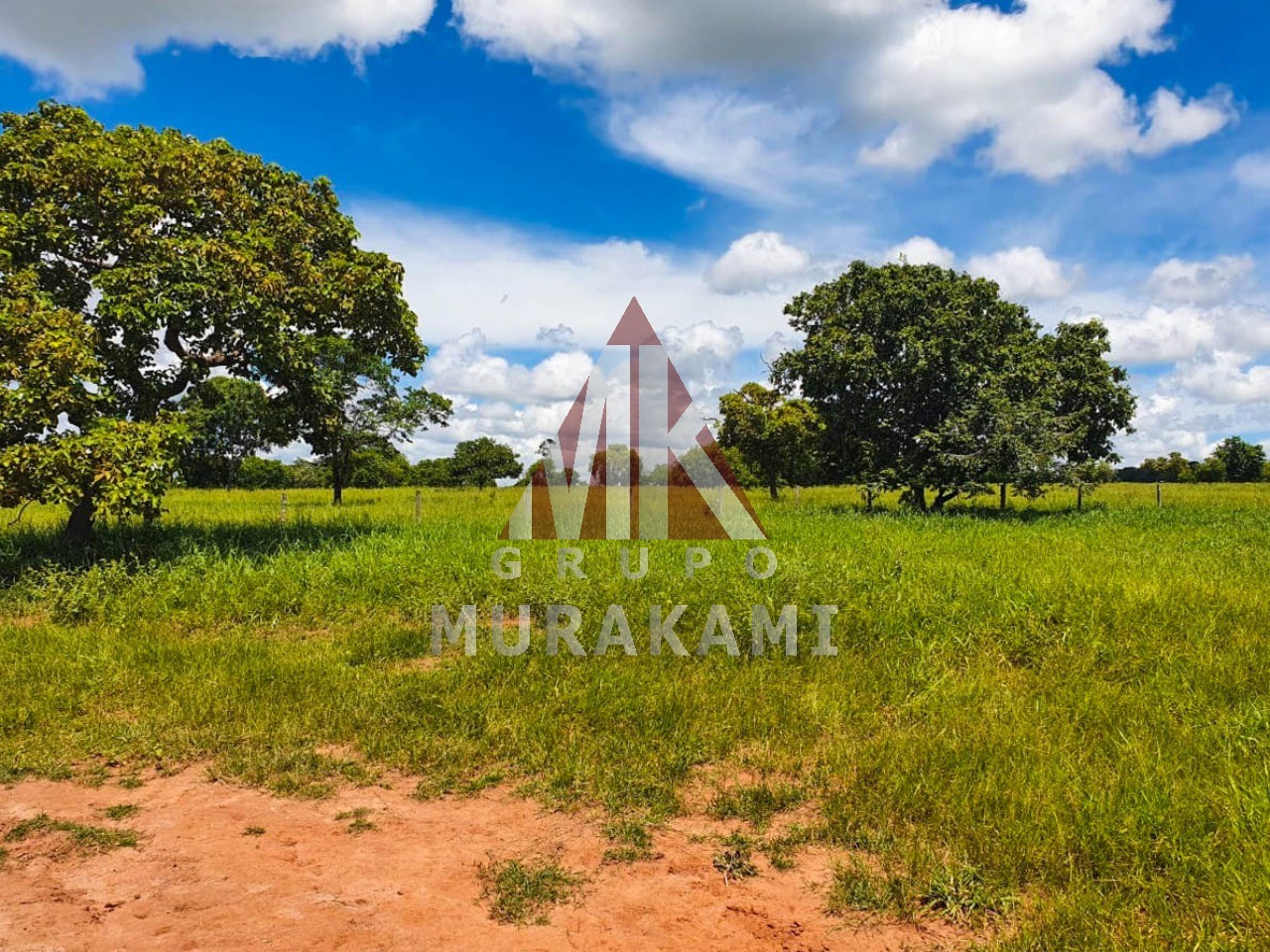 Fazenda-Sítio-Chácara, 2531 m² - Foto 2