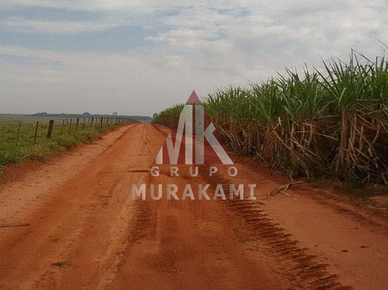 Fazenda-Sítio-Chácara, 1275 m² - Foto 10