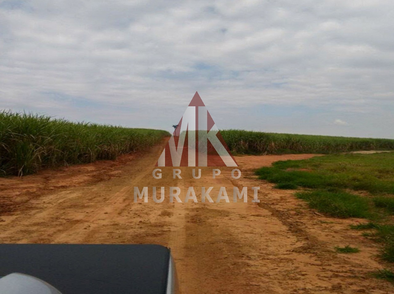 Fazenda-Sítio-Chácara, 1275 m² - Foto 2