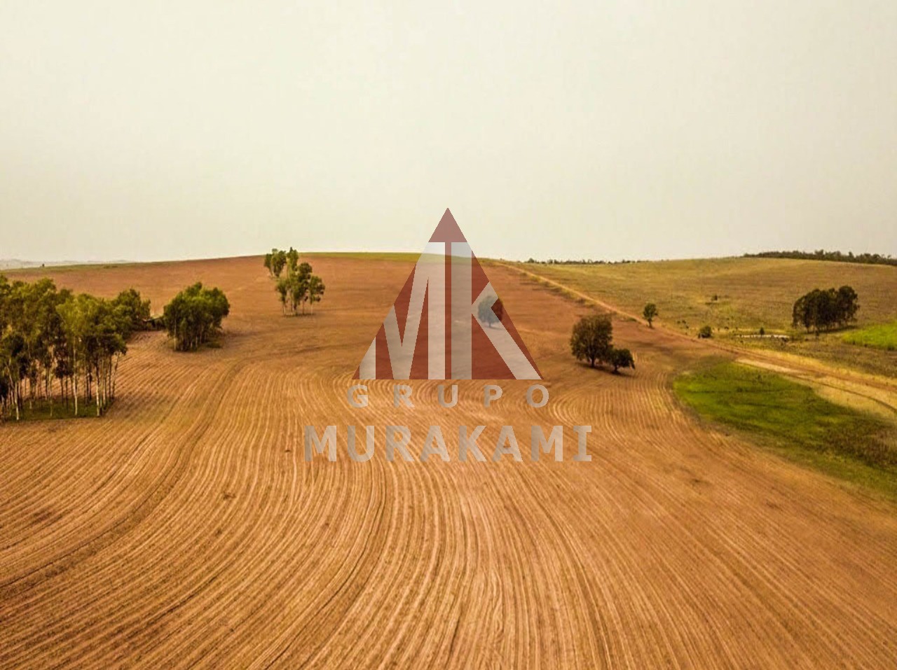 Fazenda à venda com 6 quartos, 971m² - Foto 6