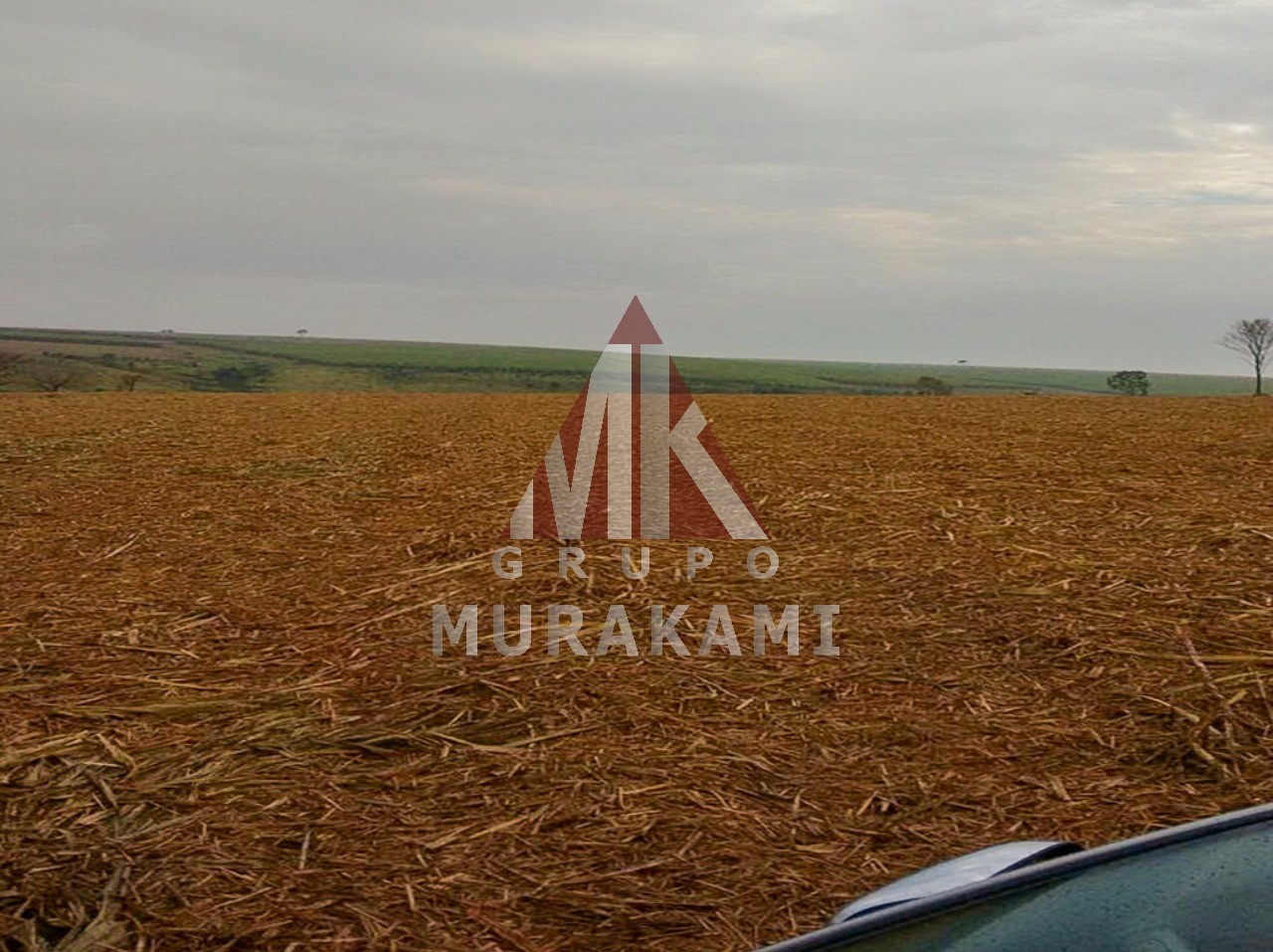 Fazenda-Sítio-Chácara, 1275 m² - Foto 3