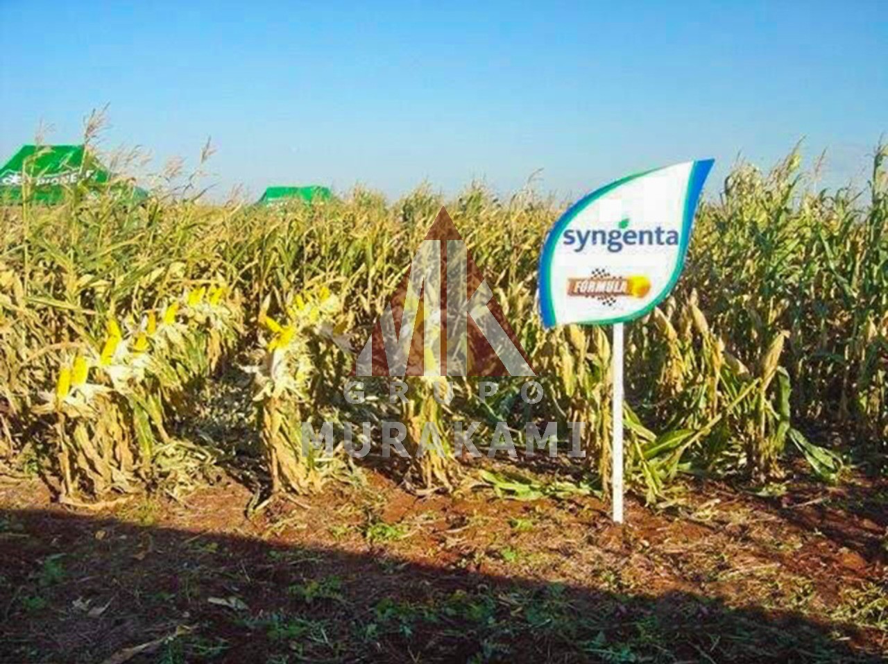 Fazenda-Sítio-Chácara, 872 m² - Foto 3