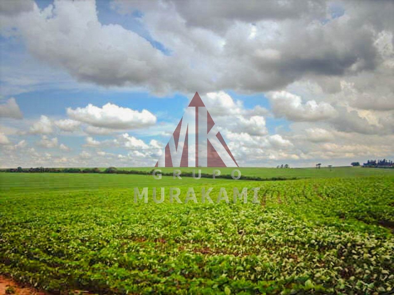 Fazenda-Sítio-Chácara, 400 m² - Foto 4