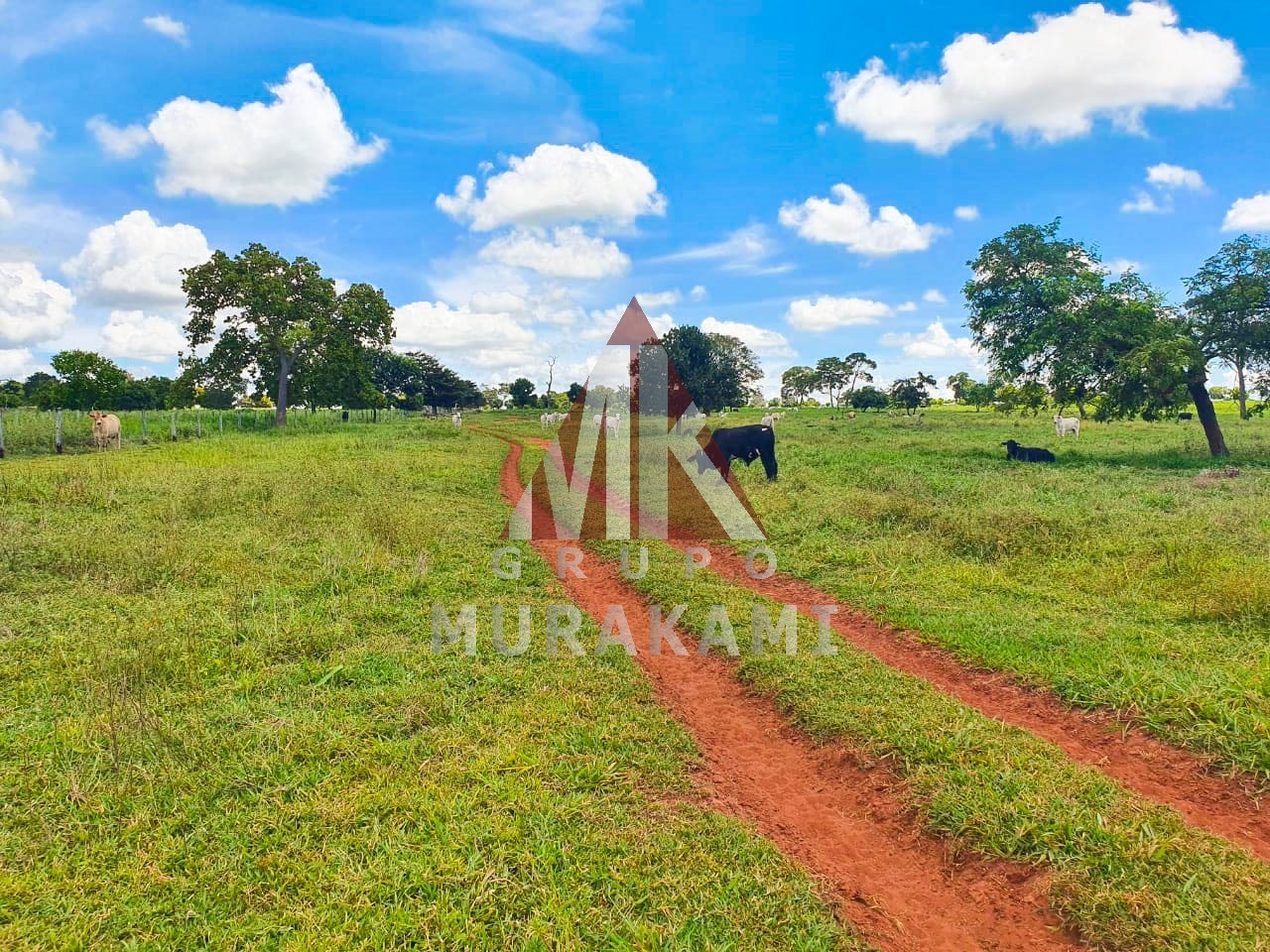 Fazenda-Sítio-Chácara, 2531 m² - Foto 3